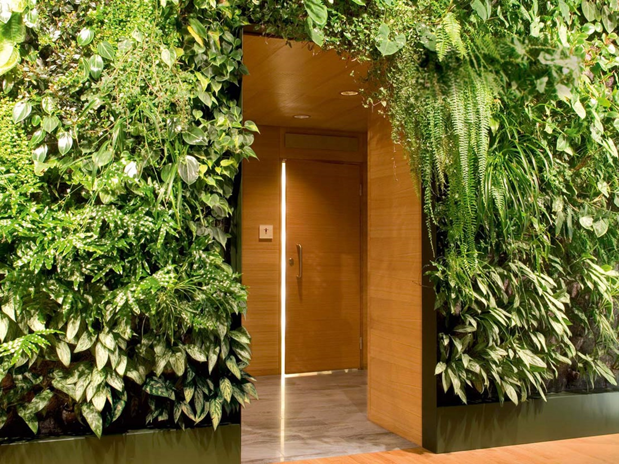 Toalettdörr i Talk Hotell växter på väggarna